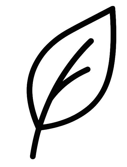 feature-item-1